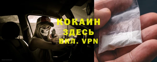 твердый Покачи