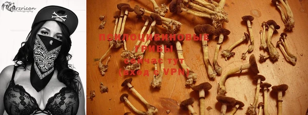 марки lsd Пересвет