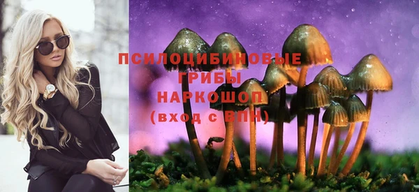 крисы Болхов