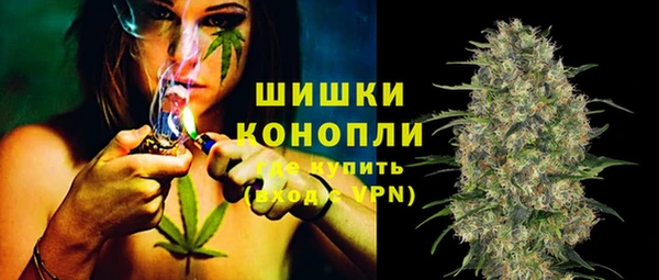 спайс Болотное
