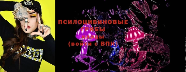 тгк Пестово