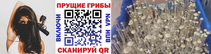 Галлюциногенные грибы ЛСД  Новый Оскол 